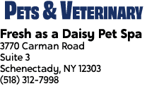 Pets & Veterinary Fresh as a Daisy Pet Spa 3770 Carman Road Suite 3 Schenectady, NY 12303 (518) 312 7998